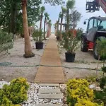 Seaanne - La Mare In Centrul Statiunii mamaia מאמאיה
